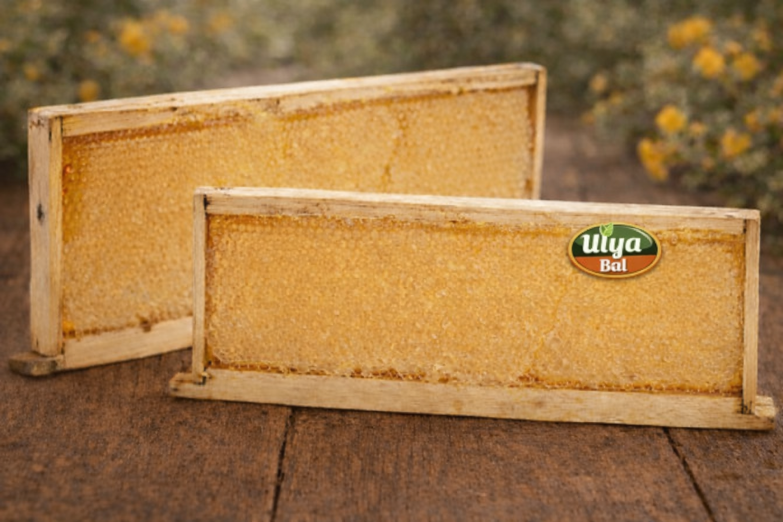 Petek Balı (3800-4200gr)